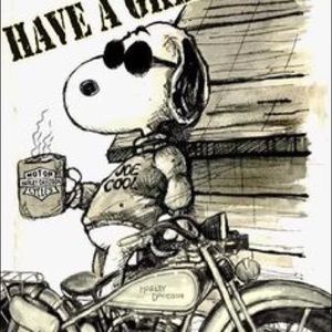 Meet your Posher, Dave